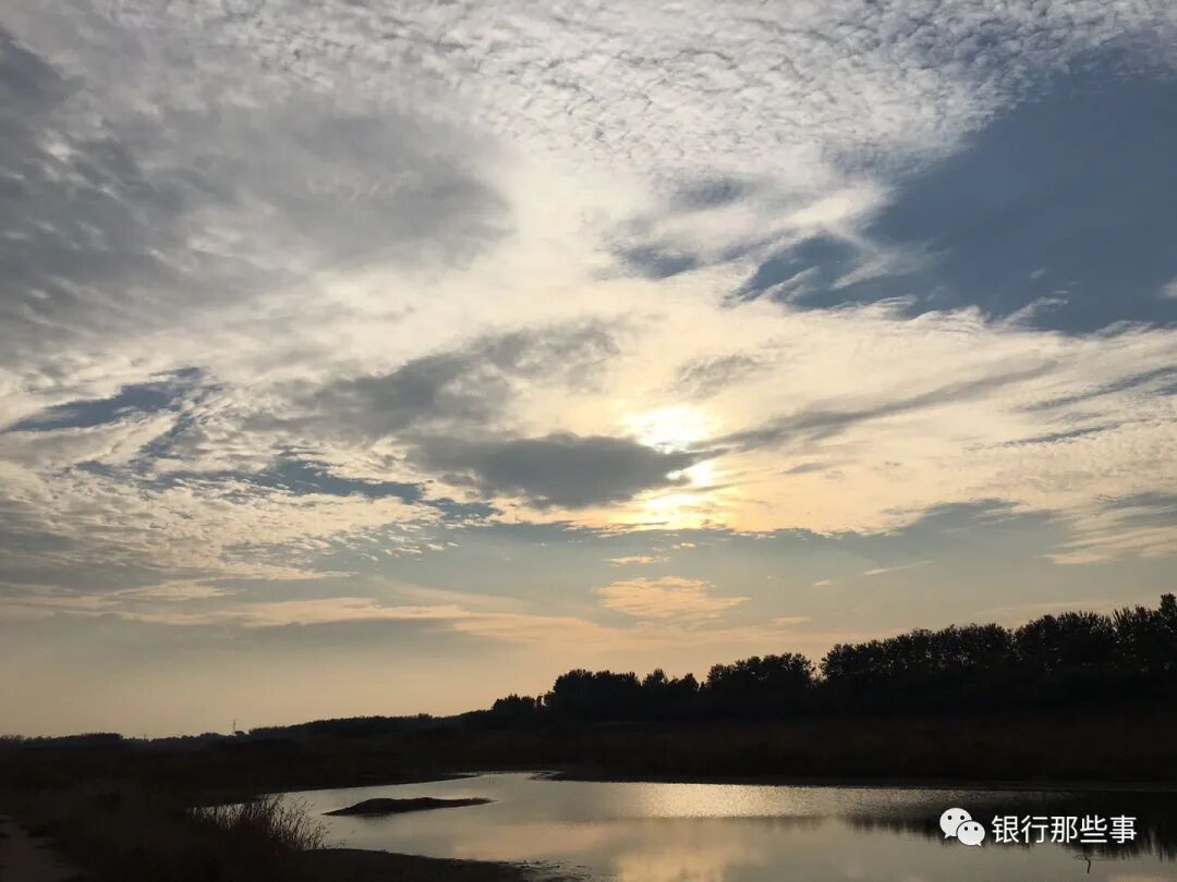 什么是“智能通知存款”?“智能通知存款”具有哪些“智能”功能呢? | 星尘资源网