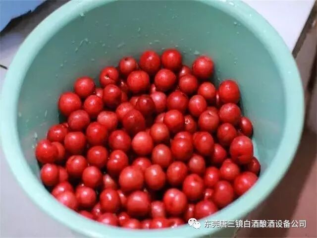 果酒技术:李子酒的制作方法步骤 | 星尘资源网