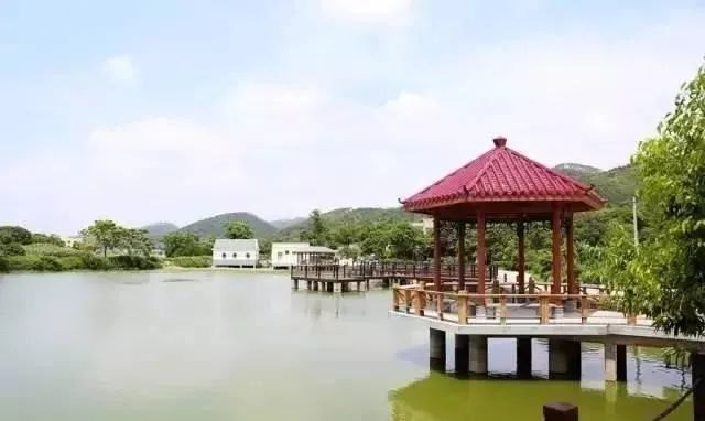 北海海鲜美食_特色小吃打卡_北海十大网红小吃