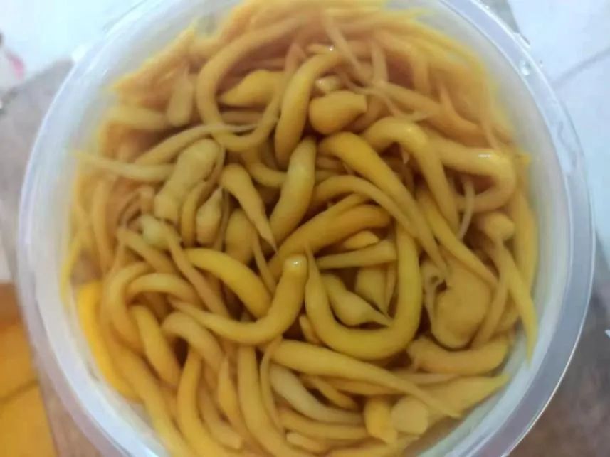 北海海鲜美食_北海十大网红小吃_特色小吃打卡