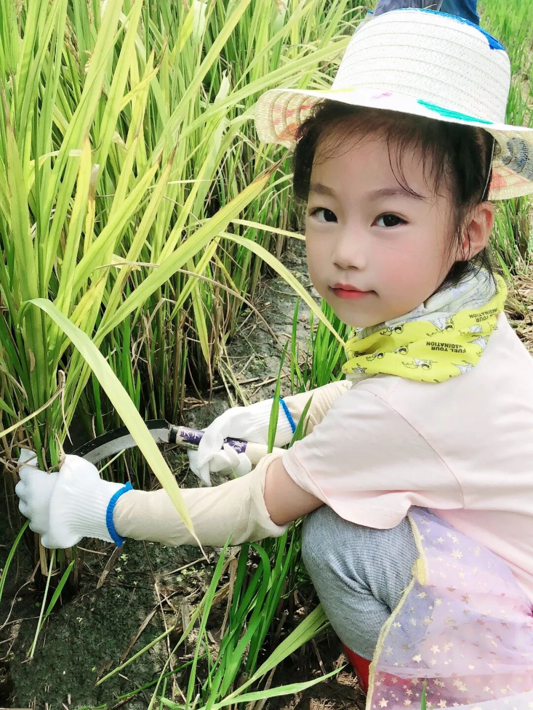 教育新要求:劳动教育要纳入中小学必修课程,快来看看要怎么做? | 星尘资源网