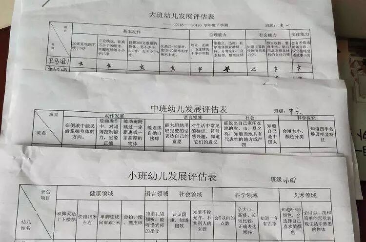 幼儿园能力发展评估_成长能力评估_幼儿五大领域综合评价