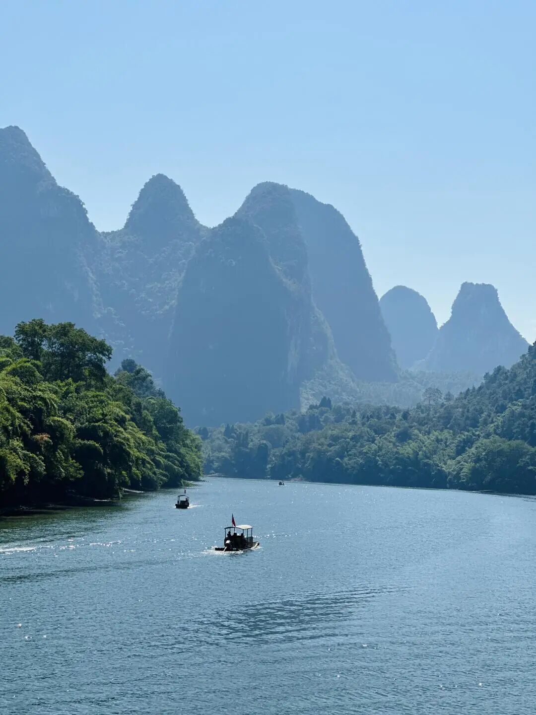 清西陵松林古道秋景, 古松参天, 金黄色的栗子叶满树, 石径幽静, 远处可见古建筑轮廓, 光影斑驳, 诗意盎然