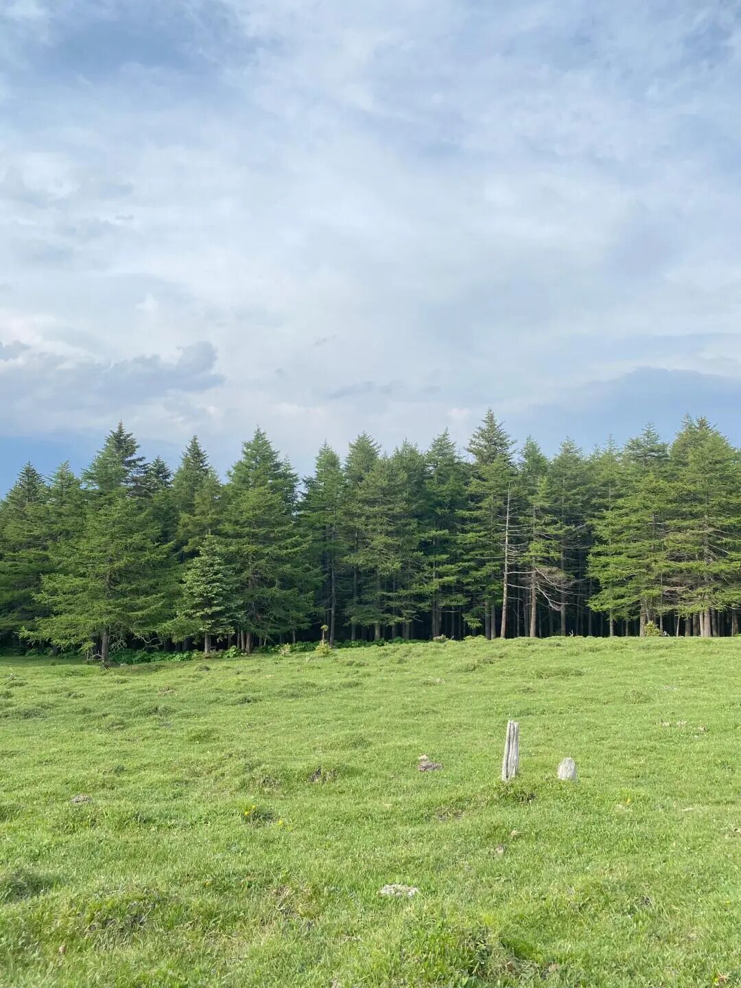 芦芽山秋季风光, 层林尽染的山峦, 金黄红色的叶子满山遍野, 悬崖栈道蜿蜒其中, 秋日阳光温暖, 色彩绚烂