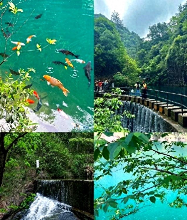 江浙沪自驾2h到达!这8个森林公园堪称天然空调,满眼翠绿! | 星尘资源网