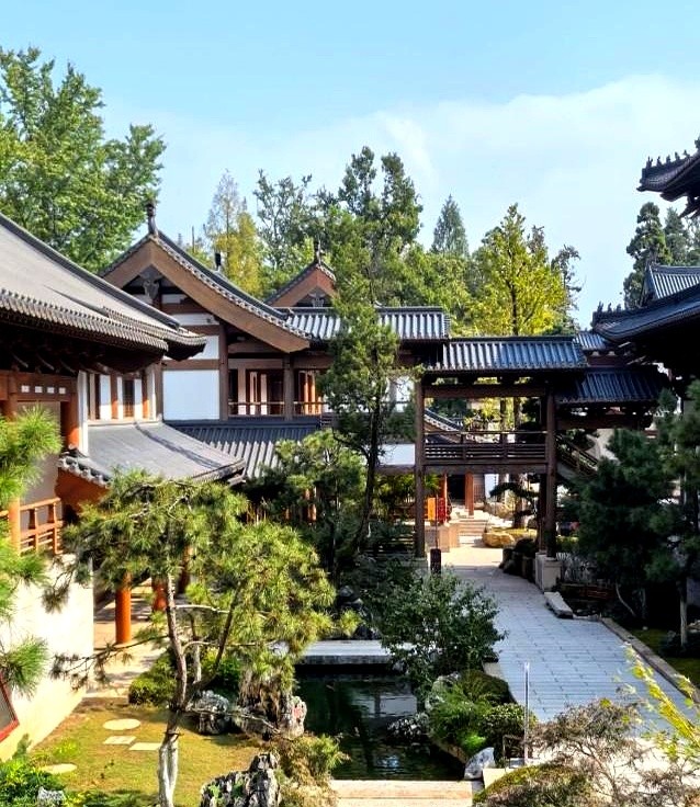 茅山夜漂限量票_茅山银河夜漂_大奇山停车场排队现象