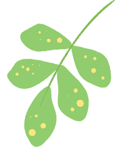 探索园林植物_发现自然之美公益研学活动_亲子研学旅行