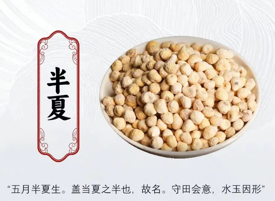 糖尿病调理_陈皮搭配蒲公英清肝火糖尿病_陈皮搭配半夏调理糖尿病