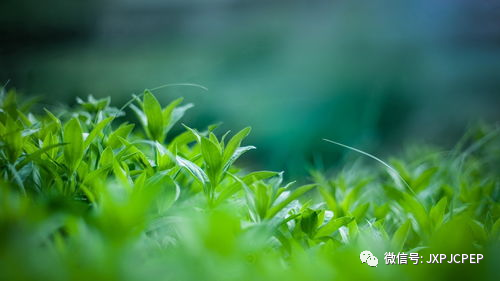财报解读技巧_54张财务报表模板下载_财务报表模板自动生成