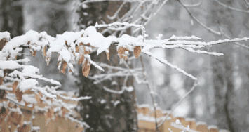 北京滑雪场攻略_北京滑雪场地推荐_滑雪场地选择
