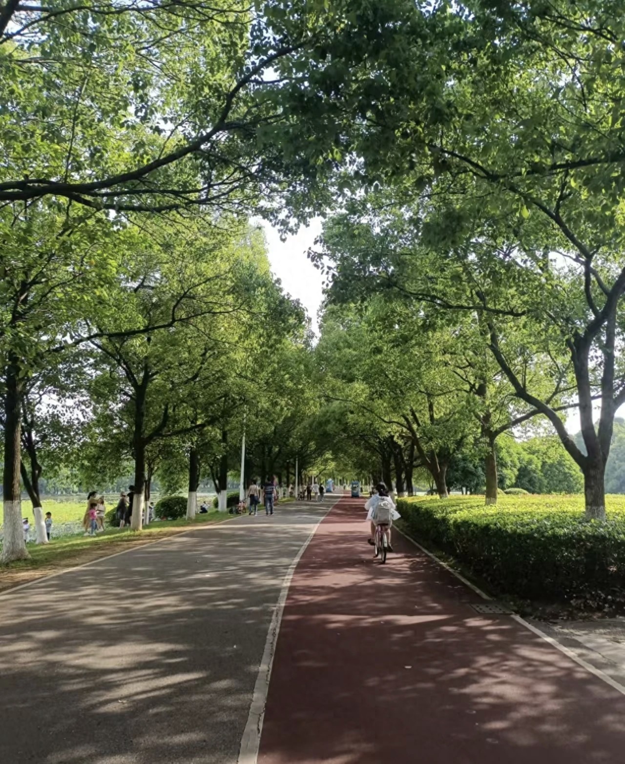 南昌约会天花板!从晨光到暮色的“心动暴击”路线,甜度超标预警 | 星尘资源网