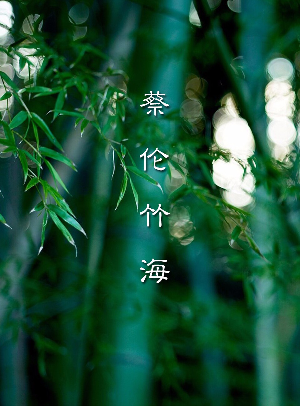 亚洲第一竹海却少有人知?比15个安吉竹海大!古人偏爱归隐之地 | 星尘资源网