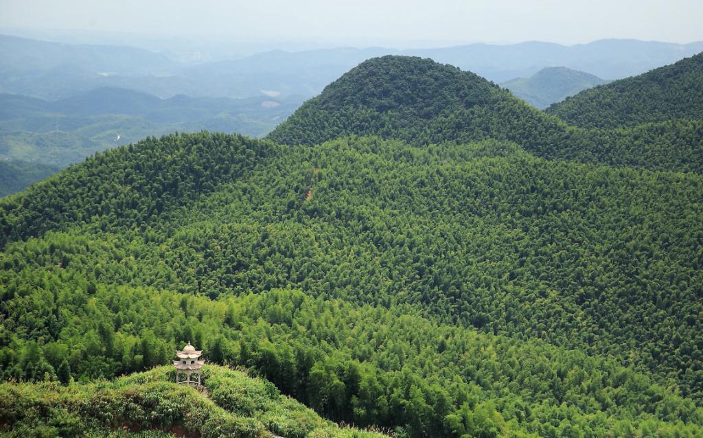 安吉竹海攻略_湖南蔡伦竹海景点介绍_蔡伦竹海旅游攻略