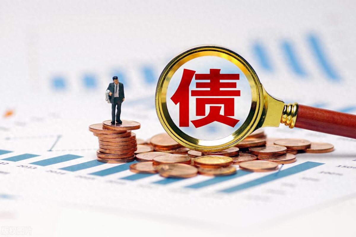一个人的偿债能力,究竟取决于什么? | 星尘资源网