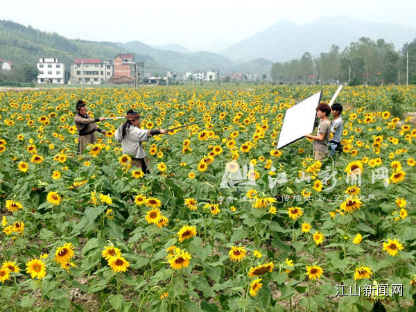 江山影视取景地_影视 IP 取景地_江山拍摄影视剧