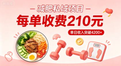 小红书【减肥】私域项目每单收费210元，单日收入突破4200+-星尘资源网